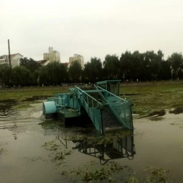 Multifunctional Salvage Vessel